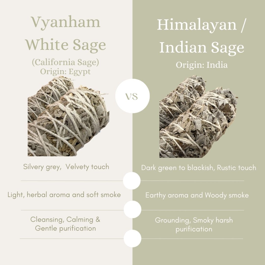 Ritual No.4 | Abundance (White Sage + Vetiver(Khus))